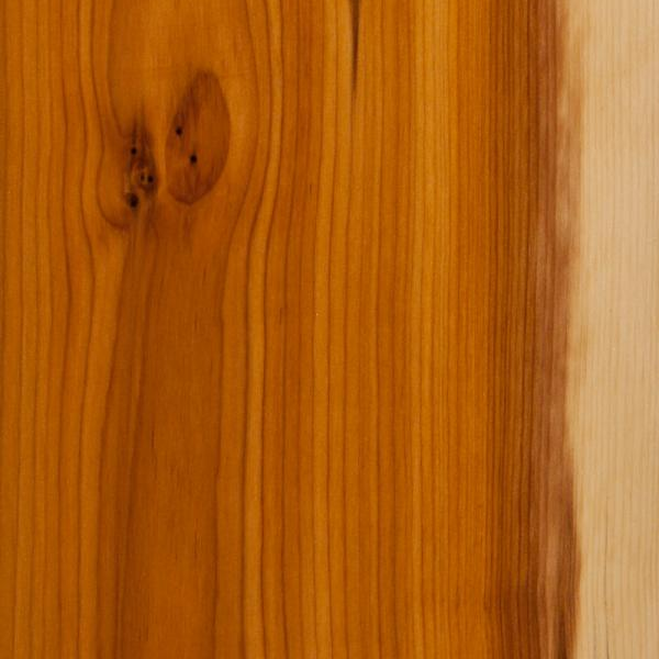 Solid English Yew Market Stick Handle Blank