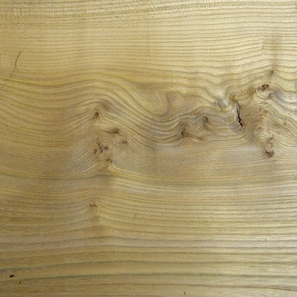 Solid English Elm V-Shaped Thumb Stick Handle Blank