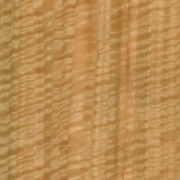 Solid English Eucalyptus Crook Stick Handle Blank