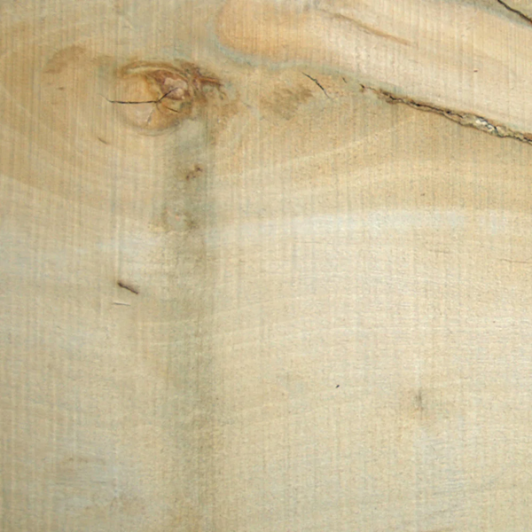 Solid English Holly Crook Stick Handle Blank