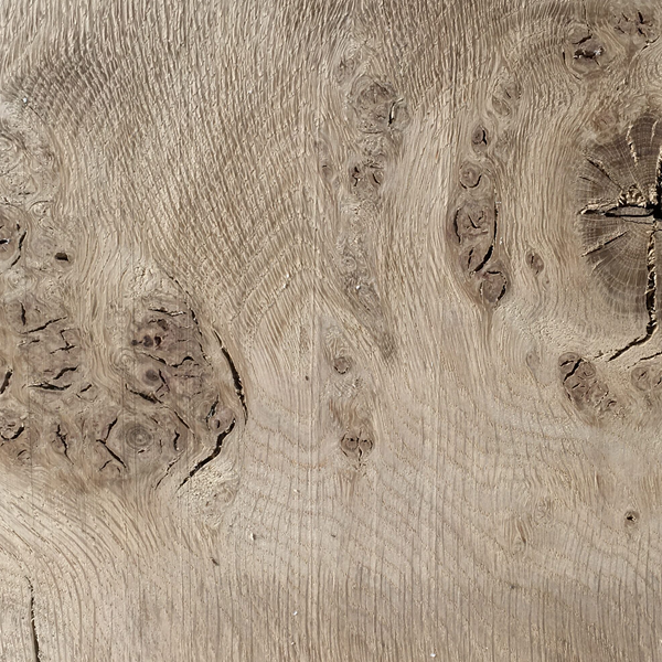 Solid English Oak Carving Crook Stick Handle Blank