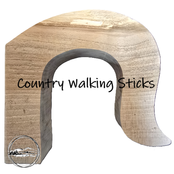 Solid English Walnut Crook Stick Handle Blank