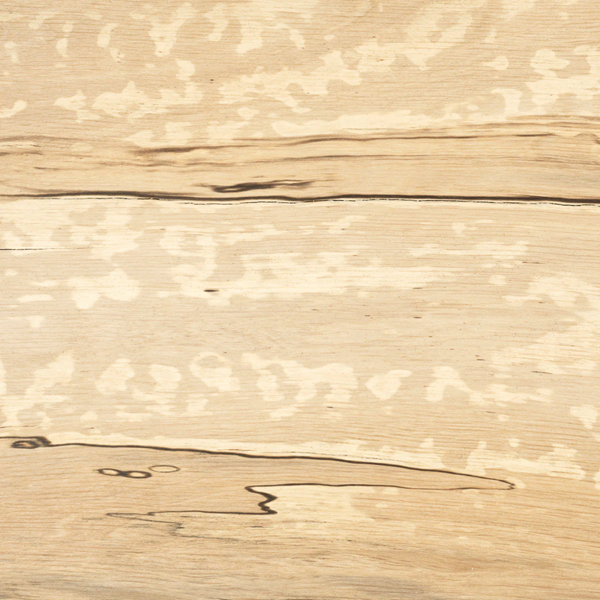 Solid English Hornbeam Crook Narrow Stick Handle Blank